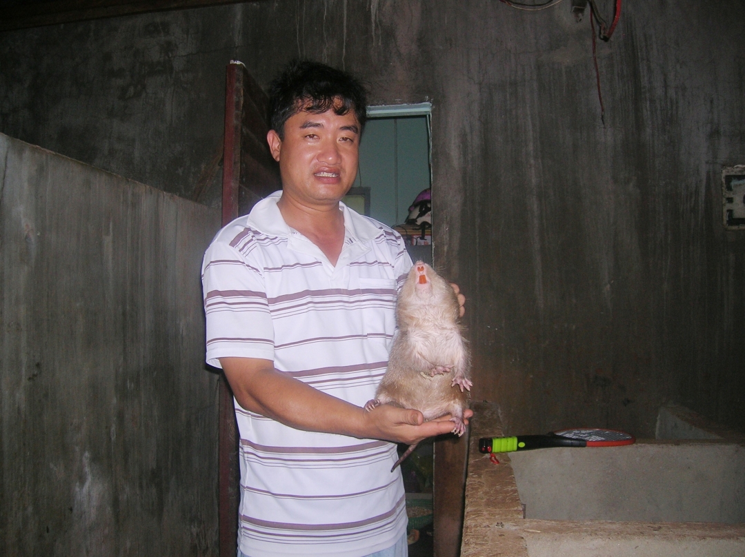 Mô hình nuôi dúi mang lại hiệu quả kinh tế cao của anh Nguyễn Công Vinh ở tổ dân phố 3, phường Tân Thành.