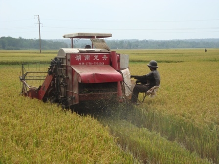 Nhiều nông dân huyện Krông Pak sau khi học nghề đã tự ứng dụng khoa học kỹ thuật vào sản xuất