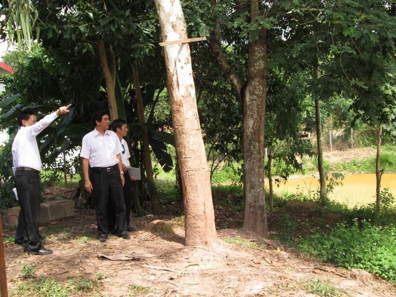 Đoàn công tác khảo sát khu đất quy hoạch khu dân cư cửa ngõ phía Đông tỉnh Dak Lak