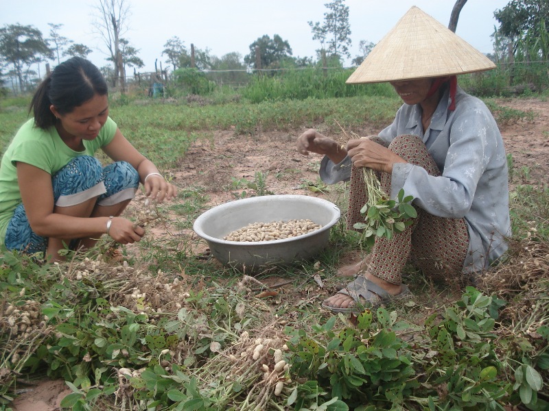 Dak Lak đật được những kết quả to lớn trong công tác giảm nghèo