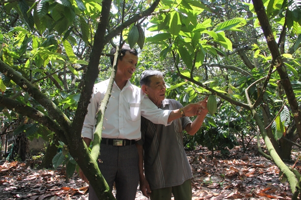 Chủ nhiệm HTX Thái Xuân Quang (bìa trái) hướng dẫn kỹ thuật trồng, chăm sóc ca cao cho nông dân.