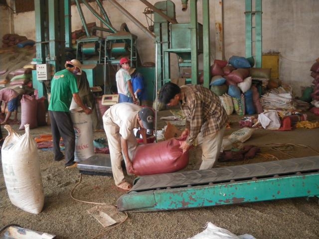 Hoạt động kinh doanh cà phê ở Dak Lak vẫn còn nhiều bất cập cần tăng cường các giải pháp để kiểm soát 