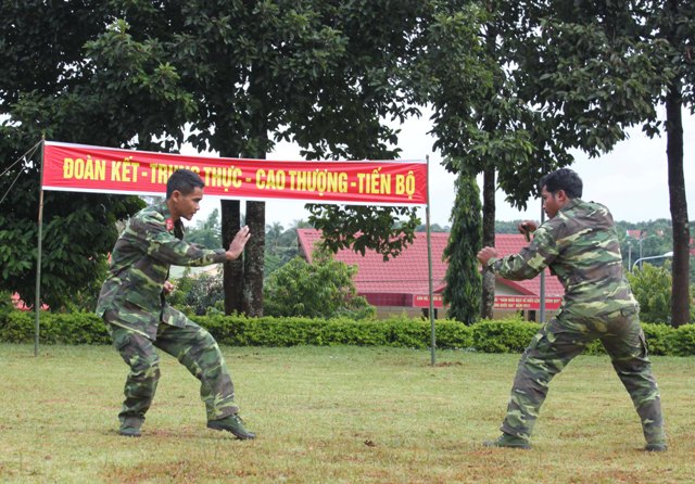 Thi đấu võ thuật