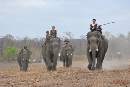 Lễ hội đua voi Buôn Đôn là một trong những hoạt động trọng điểm tại Dak Lak