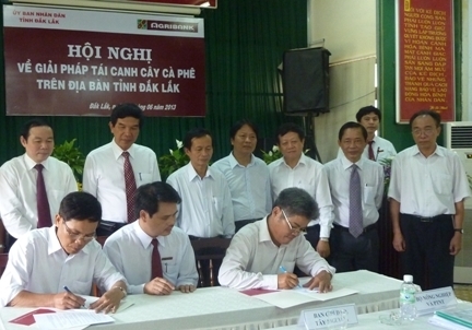 Chủ tịch UBND tỉnh Hoàng Trọng Hải (thứ hai từ trái sang) chứng kiến Agribank Dak Lak và khách hàng ký hợp đồng cho vay tái canh cà phê