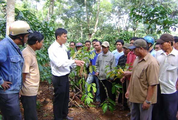 Giáo viên Trung tâm Dạy nghề huyện Cư M’gar hướng dẫn học viên  cách nhận biết sâu bệnh hại trên cây cà phê.