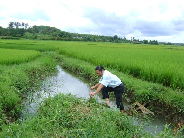 Phần lớn kênh mương nội đồng trên địa bàn huyện Krông Pak chưa được kiên cố hóa gây thất thoát một lượng nước lớn.