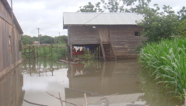 ... và gây ngập nhà dân