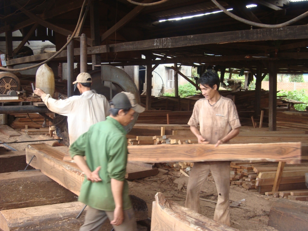 Một xưởng chế biến gỗ (Ảnh minh họa).