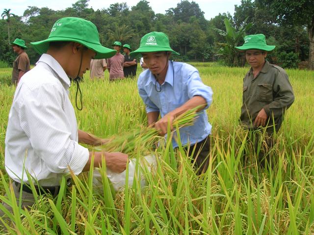 Nhiều mô hình ứng dụng khoa học, kỹ thuật trong sản xuất nông nghiệp được nhân rộng