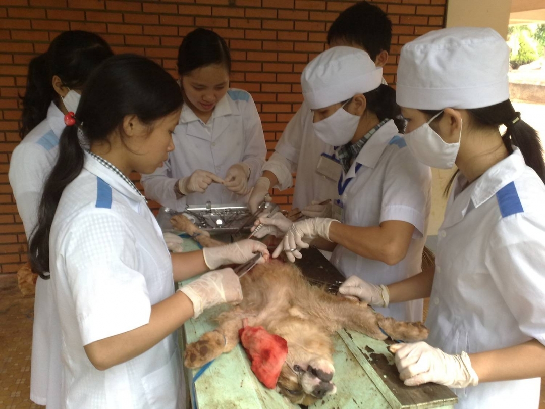 Phong trào nghiên cứu khoa học trong ngày càng hấp dẫn sinh viên.