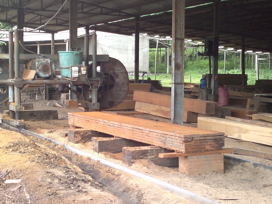 Do thiếu nguồn nguyên liệu ổn định, một số xưởng chế biến gỗ  chỉ hoạt động cầm chừng (Ảnh minh họa).