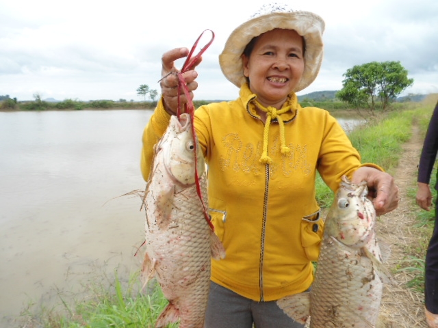 Niềm vui của chị Nguyễn Thị Hiên  khi thu hoạch cá.