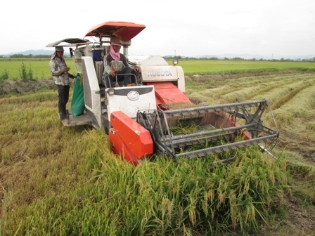 Máy gặt đập liên hợp...