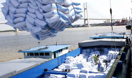 Niên vụ 2011-12, Việt Nam xuất khẩu được trên 7,7 triệu tấn gạo.