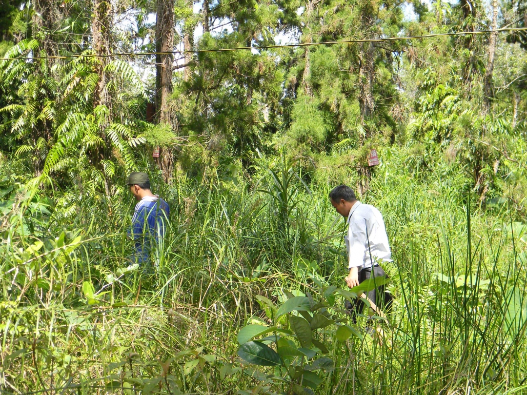 Để bảo vệ “báu vật”, cán bộ Ban Quản lý phải chia ca tuần tra liên tục trong rừng.