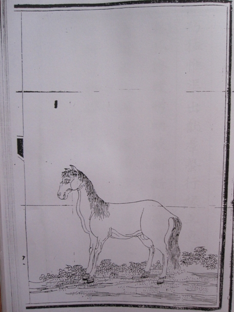 Ngựa khắc trên mộc bản minh họa cho bài thơ của vua Thiệu Trị