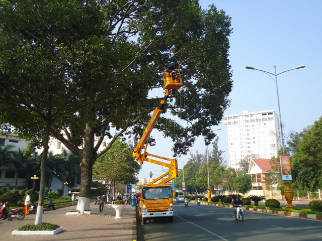 Công nhân đang treo đèn dây rũ trên cây xanh đường Nguyễn Tất Thành, TP.Buôn Ma Thuột.