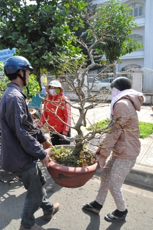 Người dân từ khắp các vùng trồng hoa lại mang đào, quất và đủ các chủng loại hoa Tết về họp chợ, tạo nên một không gian náo nhiệt mang đậm không khí Tết 