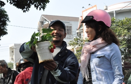 Mỗi người đều cố gắng chọn cho mình một sản phẩm ưng ý để trưng bày trong những ngày Tết