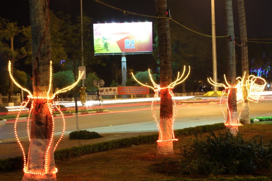 Từng hàng cây được trang hoàng bởi những ché rượu cần