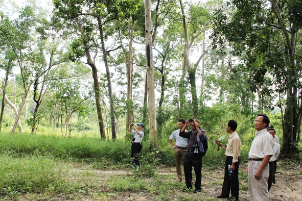 Các nhà nghiên cứu khoa học khảo sát hệ sinh thái rừng khộp ở Dak Lak.