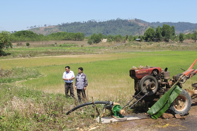 Người dân xã Cư San phải bơm nước từ các khe suối để cứu lúa.