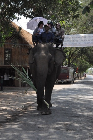 Du khách thích thú cưỡi voi tham quan tại Khu Du lịch Buôn Đôn