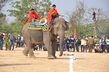 Trèo lên cây