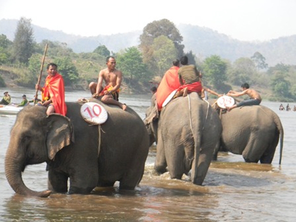  Hội voi vượt sông Sêrêpôk thu hút du khách, nhưng một khi cảnh quan môi trường  thay đổi thì sản phẩm du lịch này sẽ không còn.