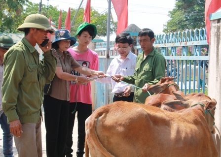 Bà Mai Hoan trao bò cho các hộ nghèo