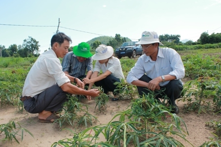 Cán bộ của Chi cục Bảo vệ thực vật và Trạm bảo vệ thực vật huyện đi kiểm tra thực tế tại xã Khuê Ngọc Điền