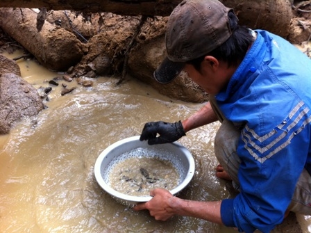 Đào đãi đá ruby tại một con suối trên địa bàn xã Cư Klông, huyện Krông Năng.