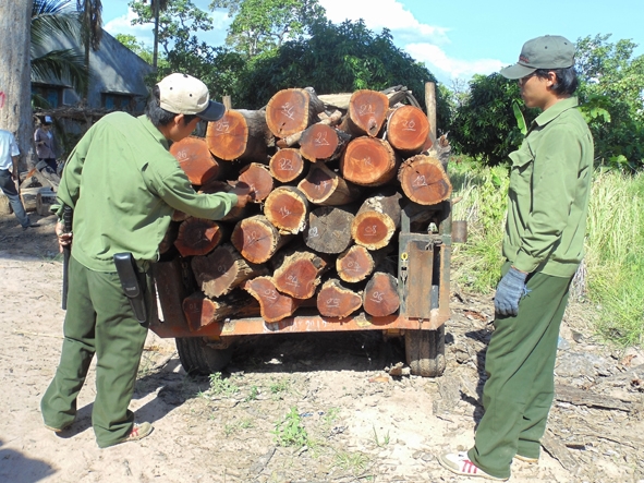 Nhức nhối nạn phá rừng ở Công ty TNHH Một thành viên Lâm nghiệp Ea H’mơ (Ea Súp).