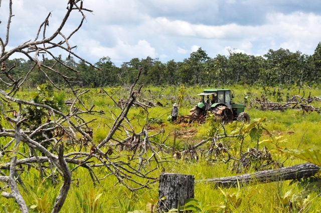 Cải tạo rừng tại xã Cư Kbang