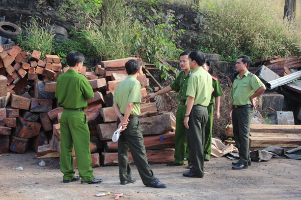 Cán bộ, chiến sĩ Phòng PC46 - Công an tỉnh phát hiện và xử lý một doanh nghiệp mua bán gỗ trái phép tại TP. Buôn Ma Thuột.  Ảnh: Duy Hòa