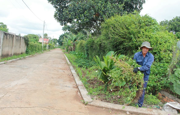 Những con đường sạch đẹp ở Hoà Đông