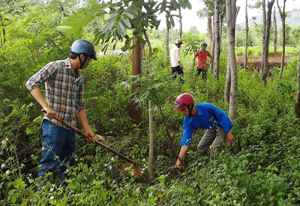 Đoàn viên, thanh niên xã Quảng Tiến (huyện Cư M’gar) trồng cây xanh  trên địa bàn xã.