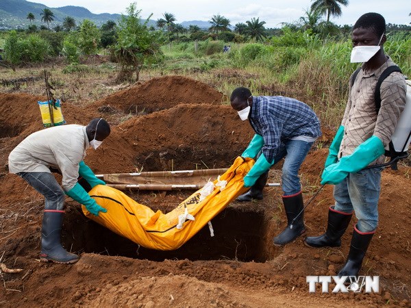 Nhân viên tình nguyện trong trang phục bảo hộ chôn xác nạn nhân Ebola tại Waterloo, cách thủ đô Freetown, Sierra Leone khoảng 30km ngày 7-10. (Nguồn: AFP/TTXVN)