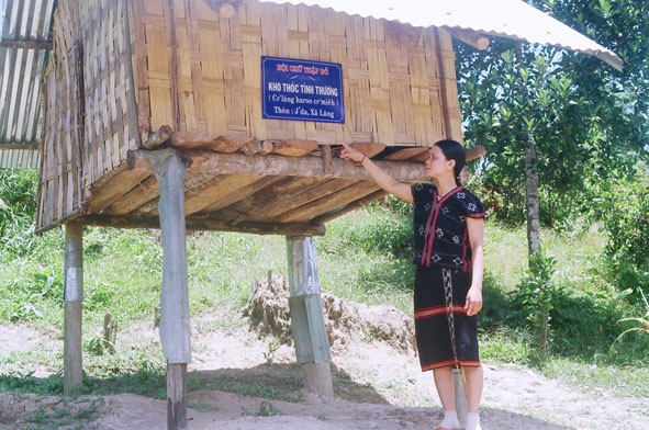 Kho thóc tình thương của đồng bào dân tộc Cơtu  huyện Tây Giang (Quảng Nam), là nơi dự trữ chia đều  cho mọi người dân trong làng khi mùa giáp hạt.