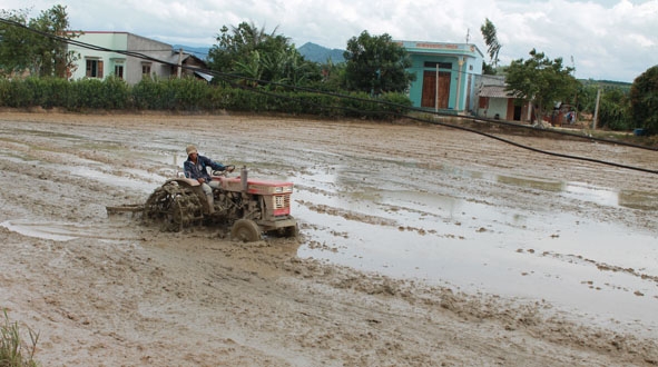 Nông dân huyện Ea Kar chuẩn bị đất cho gieo trồng vụ đông xuân 2014-2015.