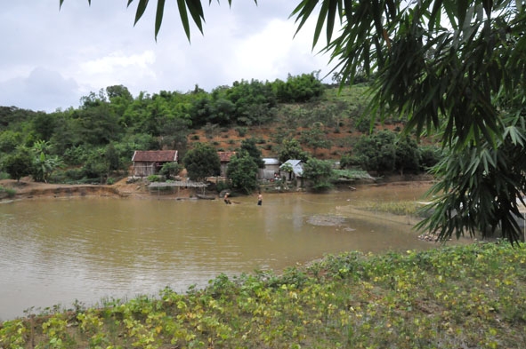 Một trang trại phát triển nhờ nguồn vốn vay theo hạn mức tín dụng  tại huyện Krông Năng.