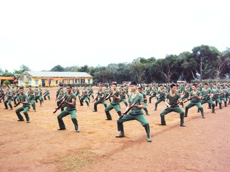 Chiến sĩ mới biểu diễn võ thuật trong tại Lễ tuyên thệ.