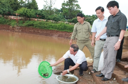 Thả cá giống xuống lòng hồ Thủy lợi Ea Drăng-huyện Ea H'leo..