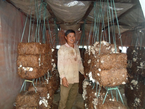 Ông Đoàn Xuân Thu bên mô hình trồng nấm mang lại thu nhập  ổn định hằng năm cho gia đình.