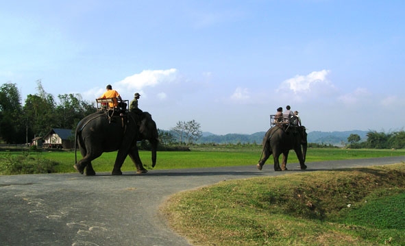 Các du khách tham gia  tour “du lịch trên lưng voi” để tham quan các danh lam thắng cảnh  ở Lak.