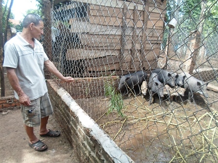 Trang trại chăn nuôi dê và heo rừng của ông Võ Công Dũng (xã Bình Hòa, huyện Krông Ana) cho thu nhập gần 200 triệu mỗi năm