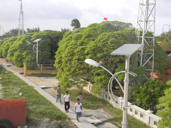 Cây xanh được trồng trên đảo Sinh Tồn.