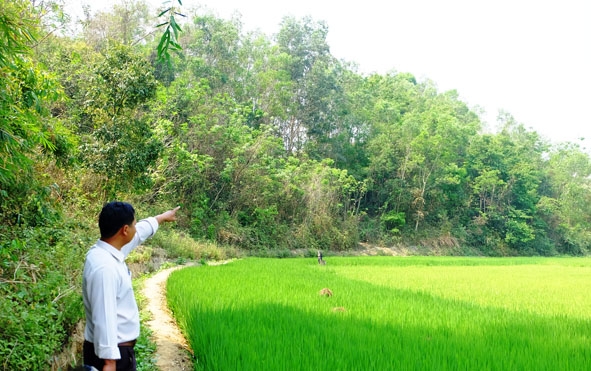 Diện tích rừng giao khoán cho hộ dân ở xã Dak Nuê (Lak).