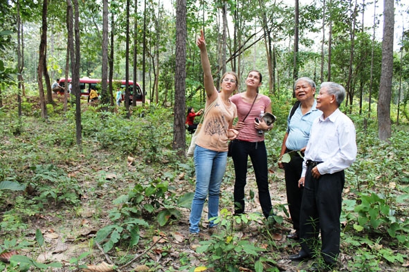 Tham quan khảo sát rừng khộp ở Buôn Đôn.